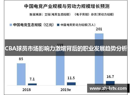 CBA球员市场影响力激增背后的职业发展趋势分析